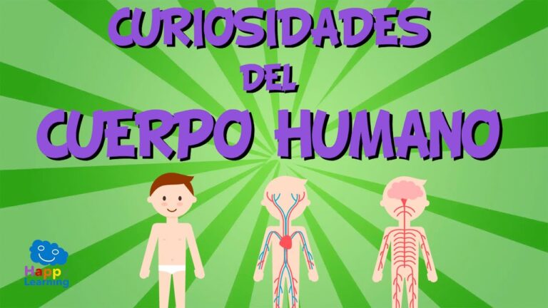 Aprende sobre Datos curiosos sobre el cuerpo humano para ninos y otros temas interesantes